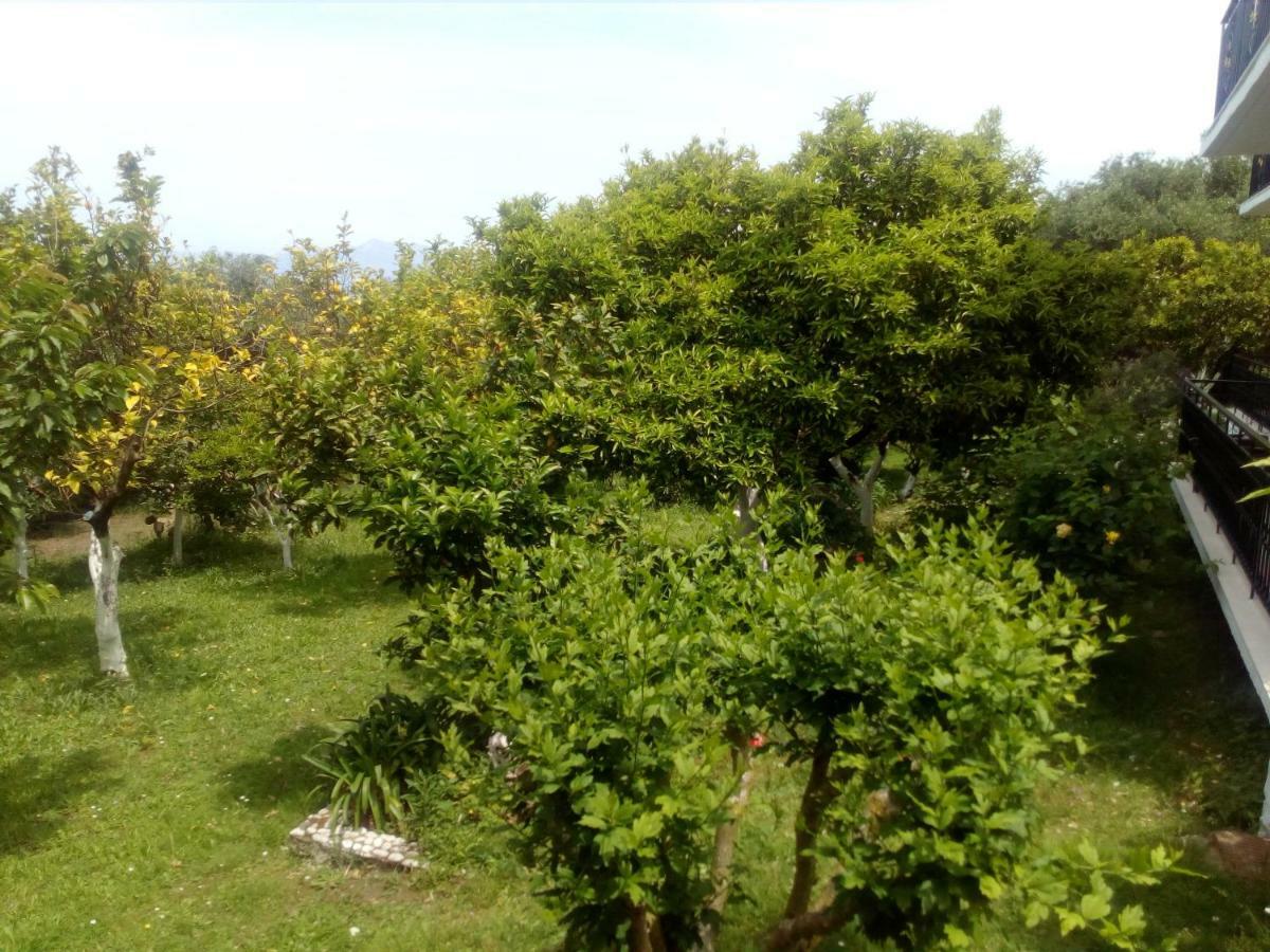 Maria'S Paradise Asztrakerí Kültér fotó